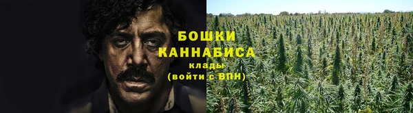 хмурый Богородицк