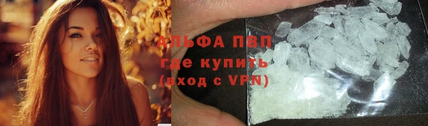 mdpv Богданович