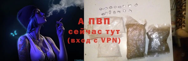 mdpv Богданович