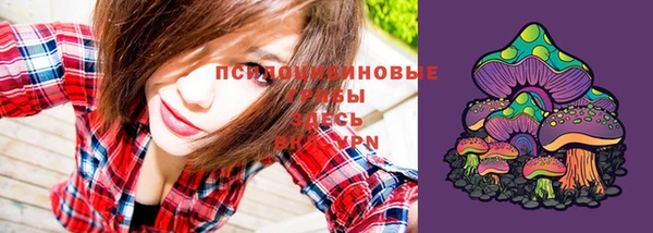 mdpv Богданович