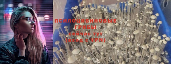 хмурый Богородицк