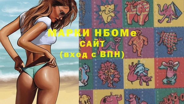 хмурый Богородицк