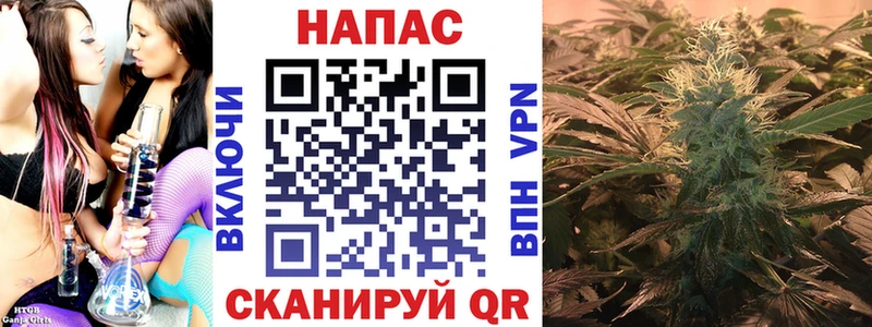 Канабис планчик Купить Высоцк
